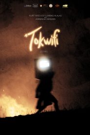 Tokwifi